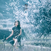 《花雨》