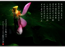 残荷