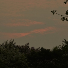 夕阳难得。。。