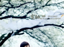 花枝春满