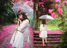 又见花开