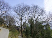 宁静的小山村