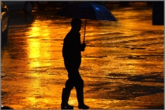 夜雨