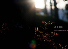 小奶6练手加小区里的小景