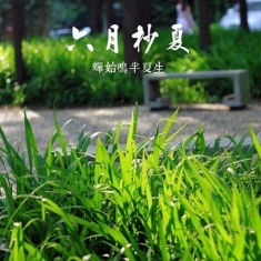 如何用光的艺术把握美丽的景象