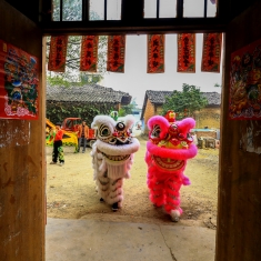 瑞狮临门