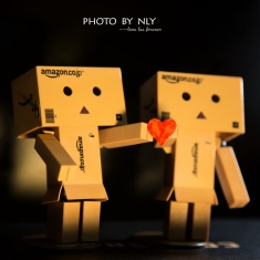 《The Love》