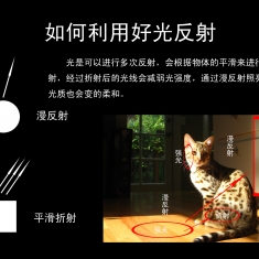 广西摄影网摄影基础实训班（周末班常年开班）