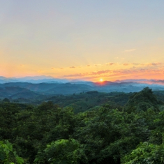 夕阳恋千山