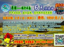 《尋遊》云南行 ——罗平油菜花、建水古城、元阳梯田风光摄影活动