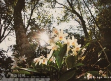 "我们的中国梦-广西摄协创作基地联展"在南宁举行(组图)