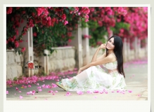 那一片花墙