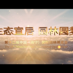 第十二届中国南宁国际园林博览会宣传片 园博园宣传片