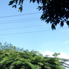 风景睹好