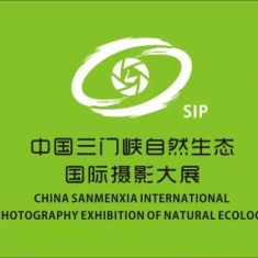 新时代摄影百名摄影师联展 | 2021第五届天鹅之城—中国三门峡自然生态国际摄影大展...