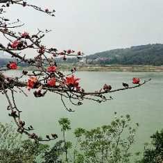 仙葫湾