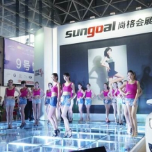 2014东盟车展 打造下半年广西消费大展