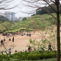 桃花谷