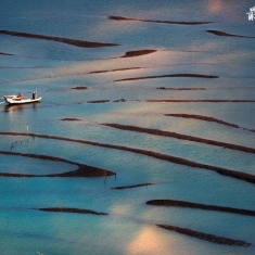 游走水墨间...