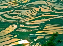 夕照金光五彩梯田———元阳·老虎嘴