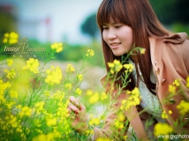 2012年度第一季（Ⅻ）——油菜花开