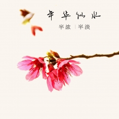 年华似水，花开相似