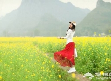 2014上林油菜花游玩攻略