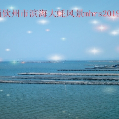 广西钦州市海景小拍mhrs