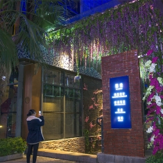 圣诞节序       民歌湖酒吧街