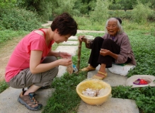 小长假尝试异地自驾游---广西德天瀑布，明仕田园，龙虎山