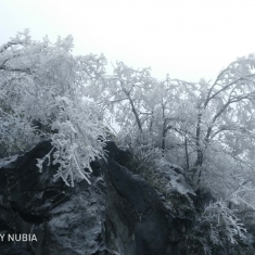 美哉，我的冰雪大全州！