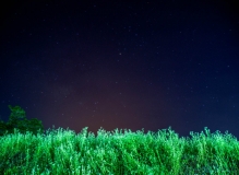 尝试一下夜景   学校的夜景