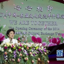 2014中国－东盟文化交流年在京开幕 刘延东出席并致辞