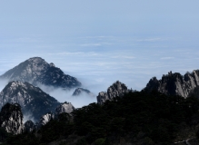可遇不可求的黄山云海