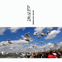人与自然/走进大自然、走进人与鸟的世界