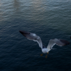 海上风光