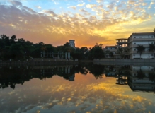 广西大学一角