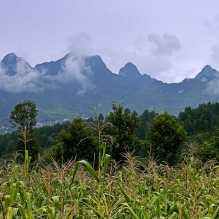 山青水秀