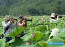 南宁机场职工摄影协会进行"赏荷"摄影采风