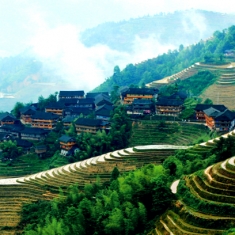龙胜金坑梯田