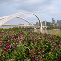 南宁大桥风采