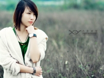 2012年度第二季（Ⅺ）——娉婷婀娜