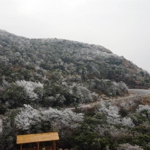 大明山雾淞