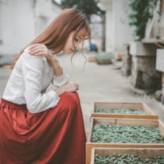 PS调出照片夏末微凉效果