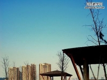 调出风景图片流行的青黄色