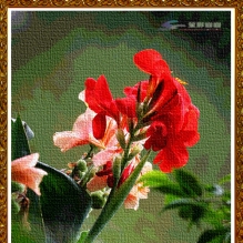 送您浏览的花儿...