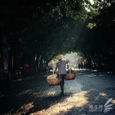 是每个人的起点也是终点 浅谈50mm标准定焦镜