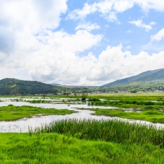 云南腾冲北海湿地