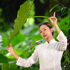 一缕阳光