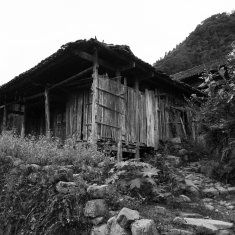 这里静悄悄